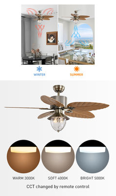 Modern Decoratief de Afstandsbediening Onzichtbaar Intrekbaar Blad van 4100k Crystal Ceiling Fan With Light