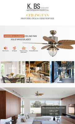 Modern Decoratief de Afstandsbediening Onzichtbaar Intrekbaar Blad van 4100k Crystal Ceiling Fan With Light