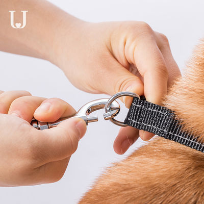 5M Long Extendable Dog Dorsale Automatische Intrekbare de Hondleiband van de Leibandtractie