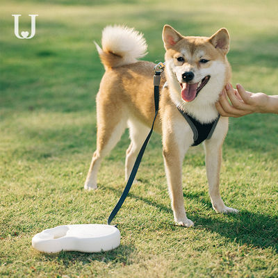 5M Long Extendable Dog Dorsale Automatische Intrekbare de Hondleiband van de Leibandtractie