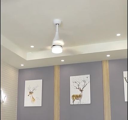 Moderne Stijl75w ABS BladPlafondventilator