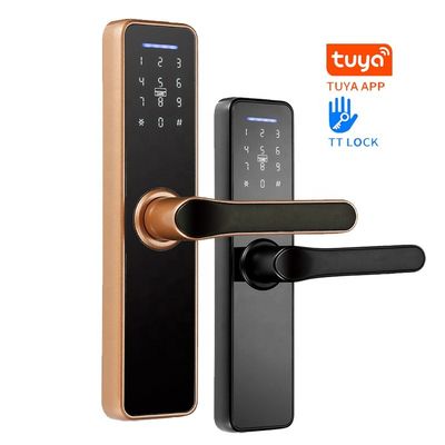 Slaapkamer 30mm70mm Slim Zeer belangrijk Elektronisch Slot voor Houten Deur Enige Dubbele Cilinder